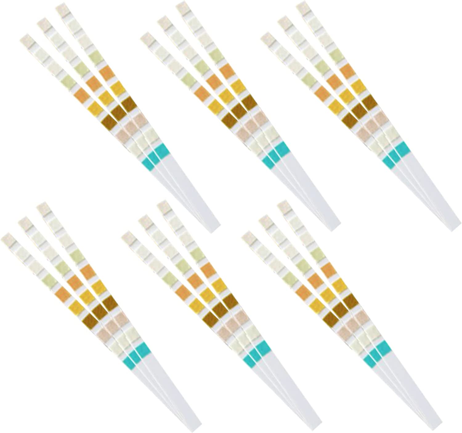 شرائط اختبار البول لتحليل البو - مراجعة Urinalysis Reagent Strip وسعره